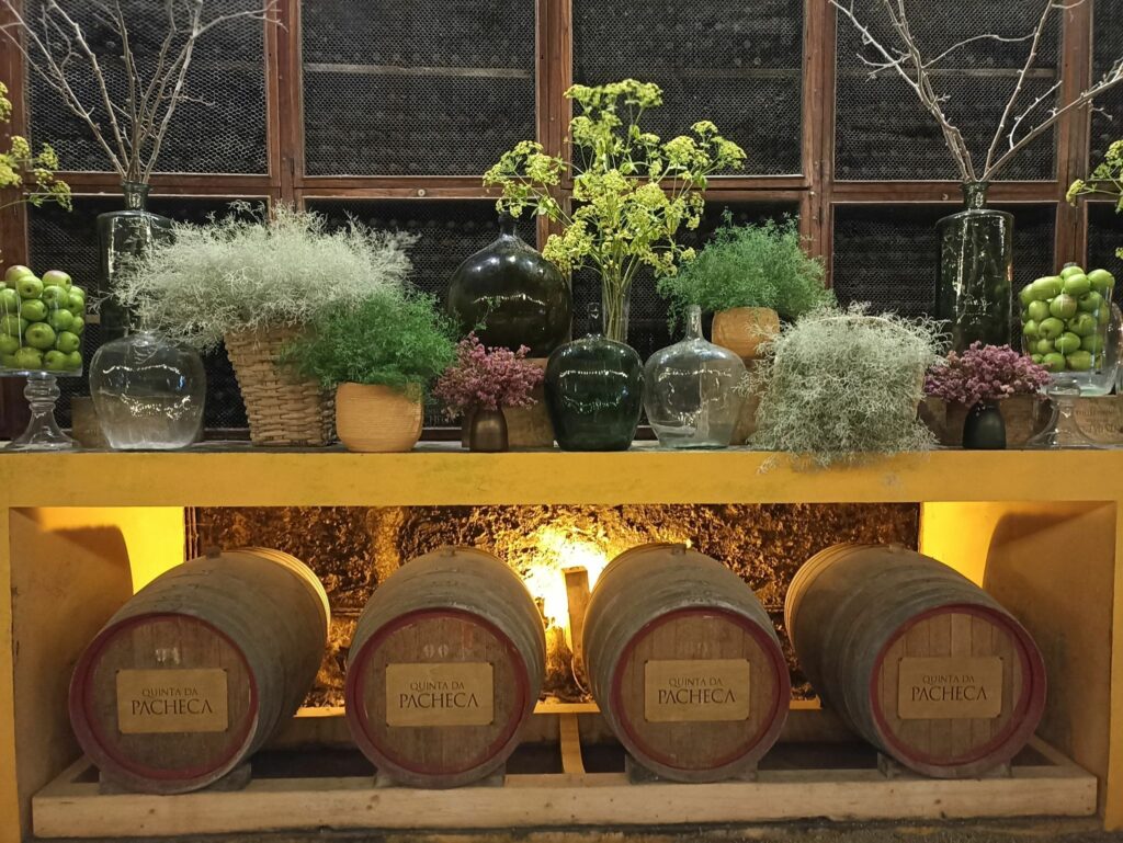 Photo : Voyage au Portugal : Une expérience unique pour nos apprentis du BTSa Technico-Commercial Vins, Bières et Spiritueux
