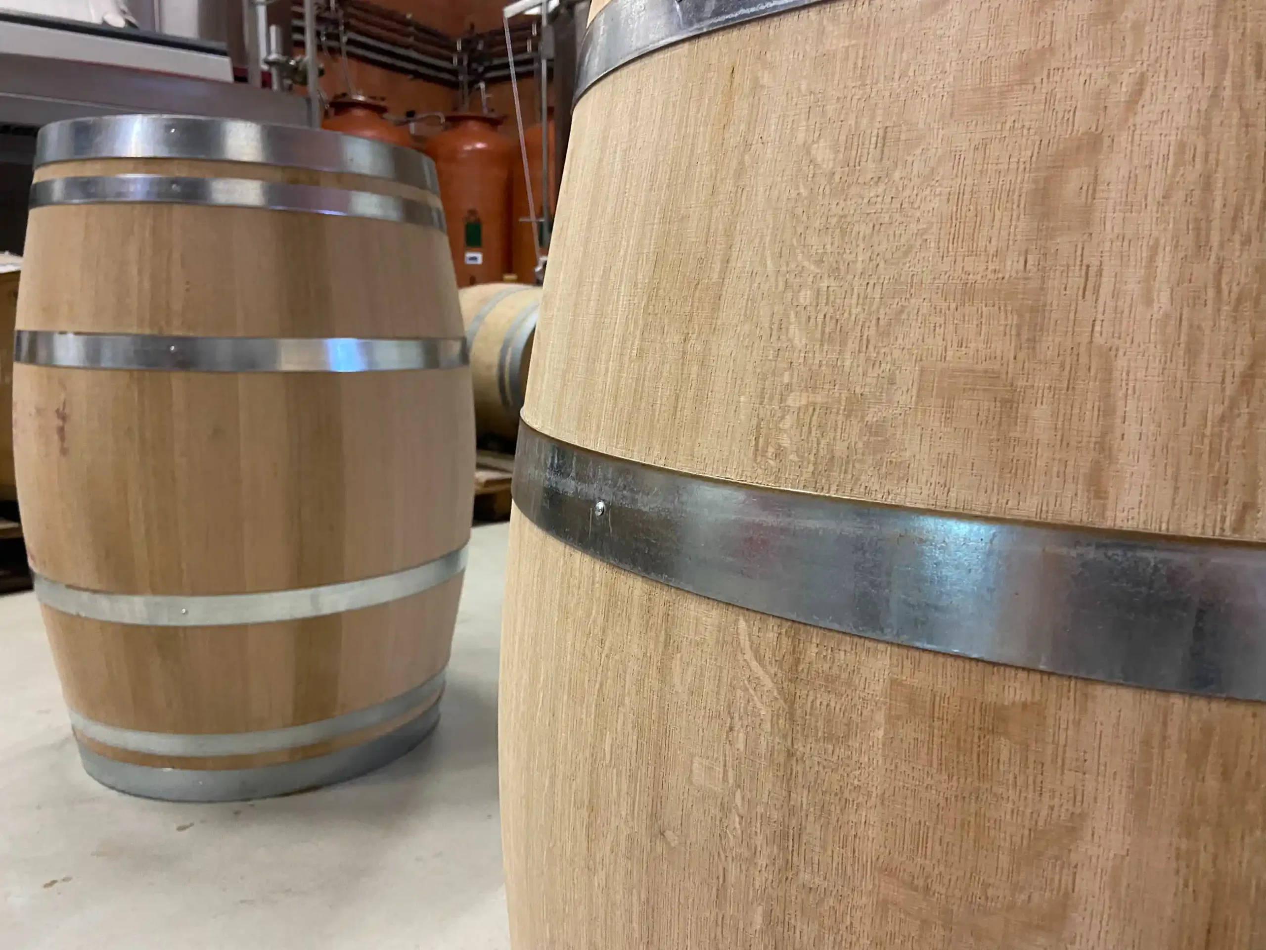 Barriques en chêne dans un chai