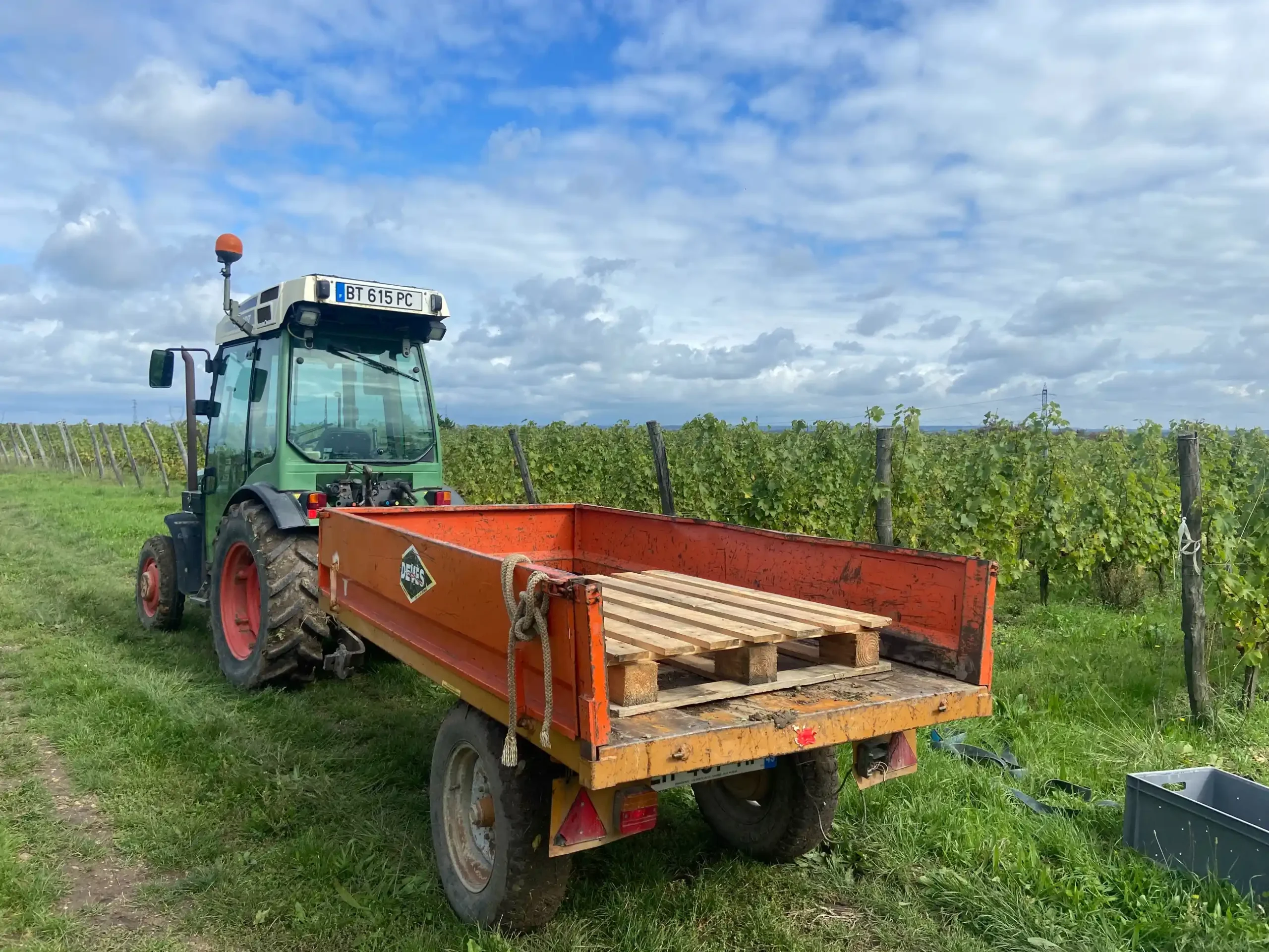 Tracteur viticole attelé à une remorque, au bord des vignes