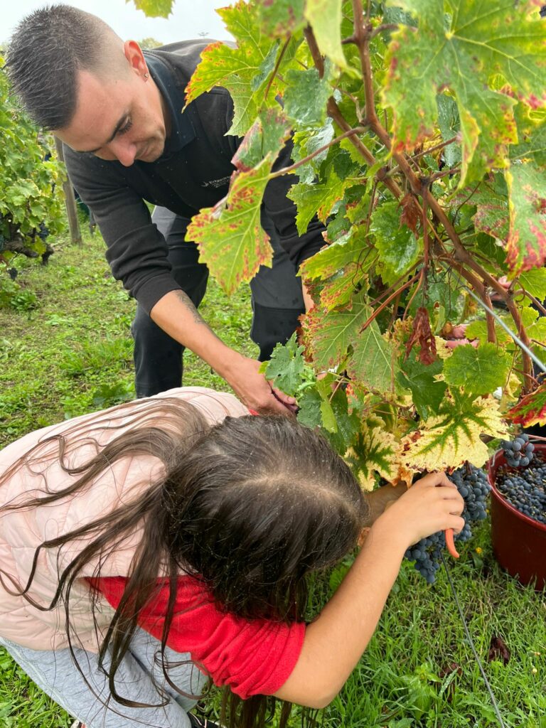 Photo : Les apprentis au cœur de la fête des vendanges de Saumur