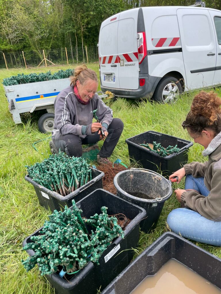 Photo : BPREA et BPa : un chantier au cœurs des vignes bretonnes