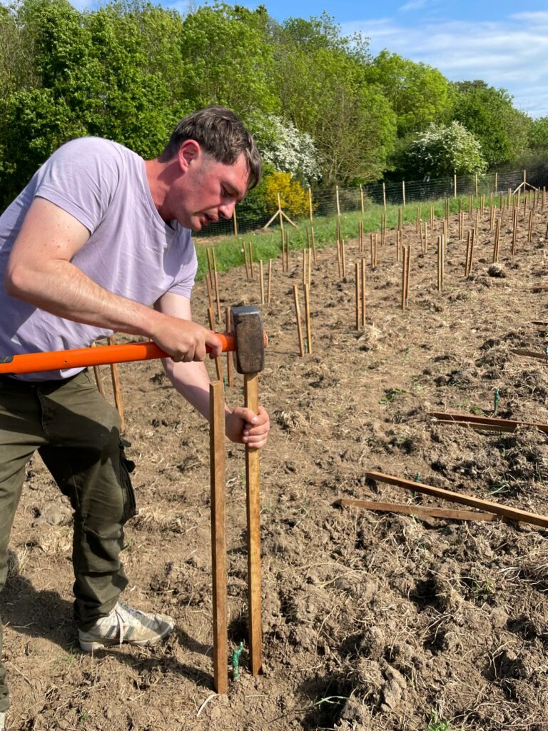 Photo : BPREA et BPa : un chantier au cœurs des vignes bretonnes