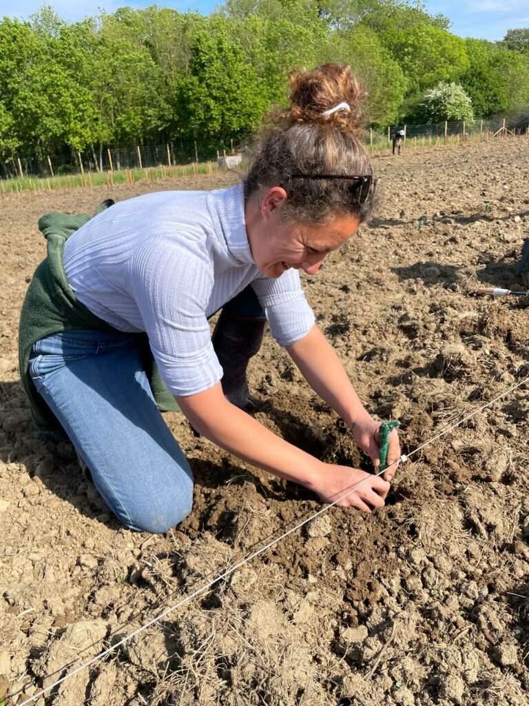 Photo : BPREA et BPa : un chantier au cœurs des vignes bretonnes