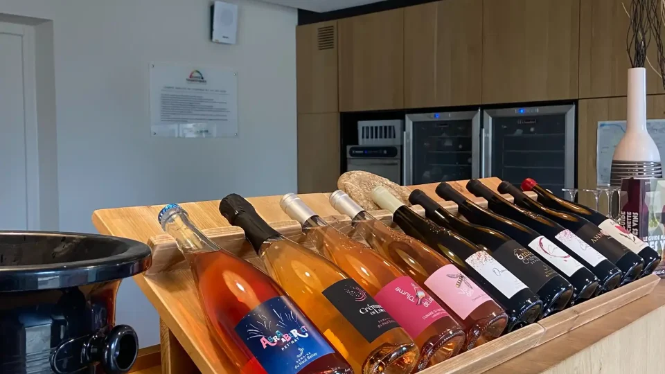 Bouteilles du Domaine du Haut-Bellay alignées dans le caveau de vente