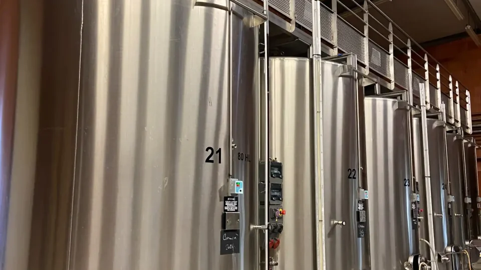 Les cuves de vinification du chai du Domaine du Haut-Bellay