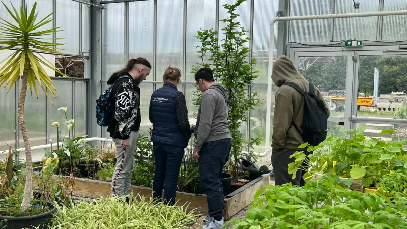 Un groupe d’apprenants en travaux pratiques dans la serre