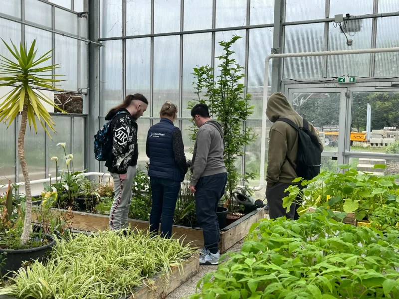 Un groupe d’apprenants en travaux pratiques dans la serre