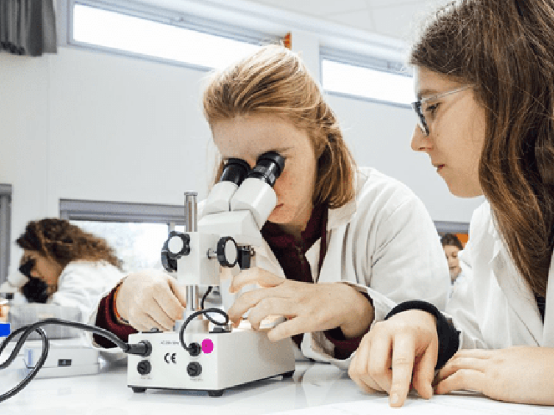 Des élèves en travaux pratiques au laboratoire