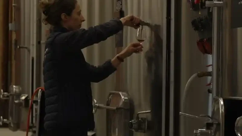 Une apprenante au travail dans le chai