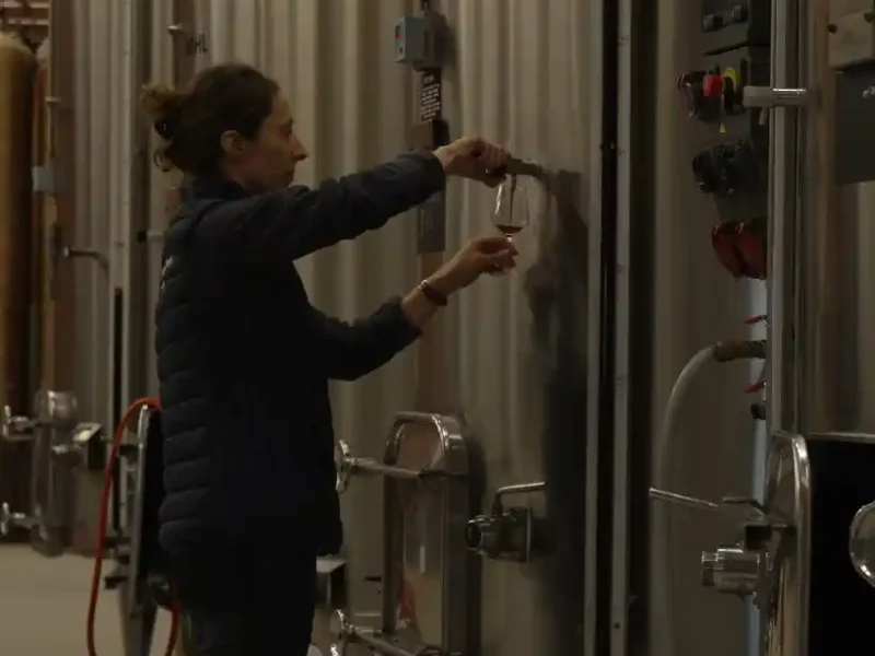 Une apprenante au travail dans le chai